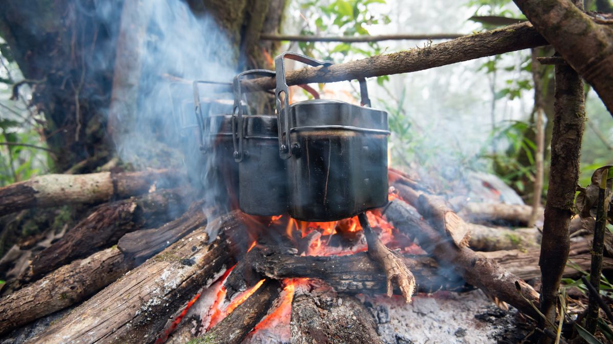 survival jedzenie w lesie